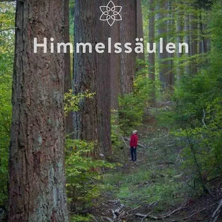 Fachwerkhaus Im Sauerland - Goldhase Anno 1700