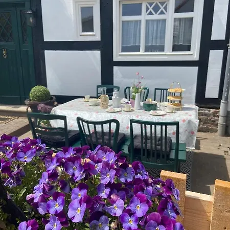 Casa de Férias Fachwerkhaus Im Sauerland - Goldhase Anno 1700 *