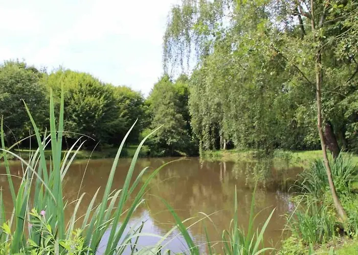 Hébergement de vacances Fachwerkhaus Im Sauerland - Goldhase Anno 1700 Medebach