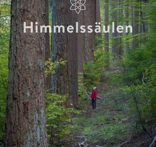 Fachwerkhaus Im Sauerland - Goldhase Anno 1700