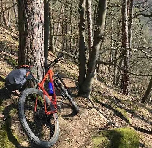 Hébergement de vacances Fachwerkhaus Im Sauerland - Goldhase Anno 1700 *