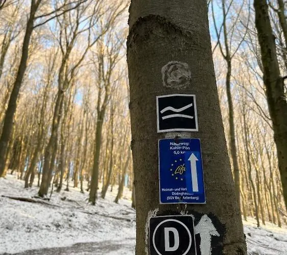 Fachwerkhaus Im Sauerland - Goldhase Anno 1700 * Medebach