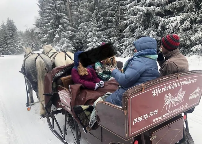 Hébergement de vacances Fachwerkhaus Im Sauerland - Goldhase Anno 1700 *