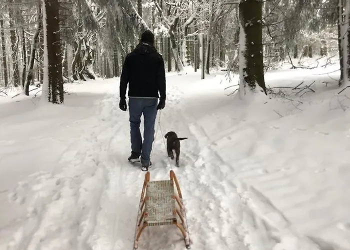 Fachwerkhaus Im Sauerland - Goldhase Anno 1700 * Medebach